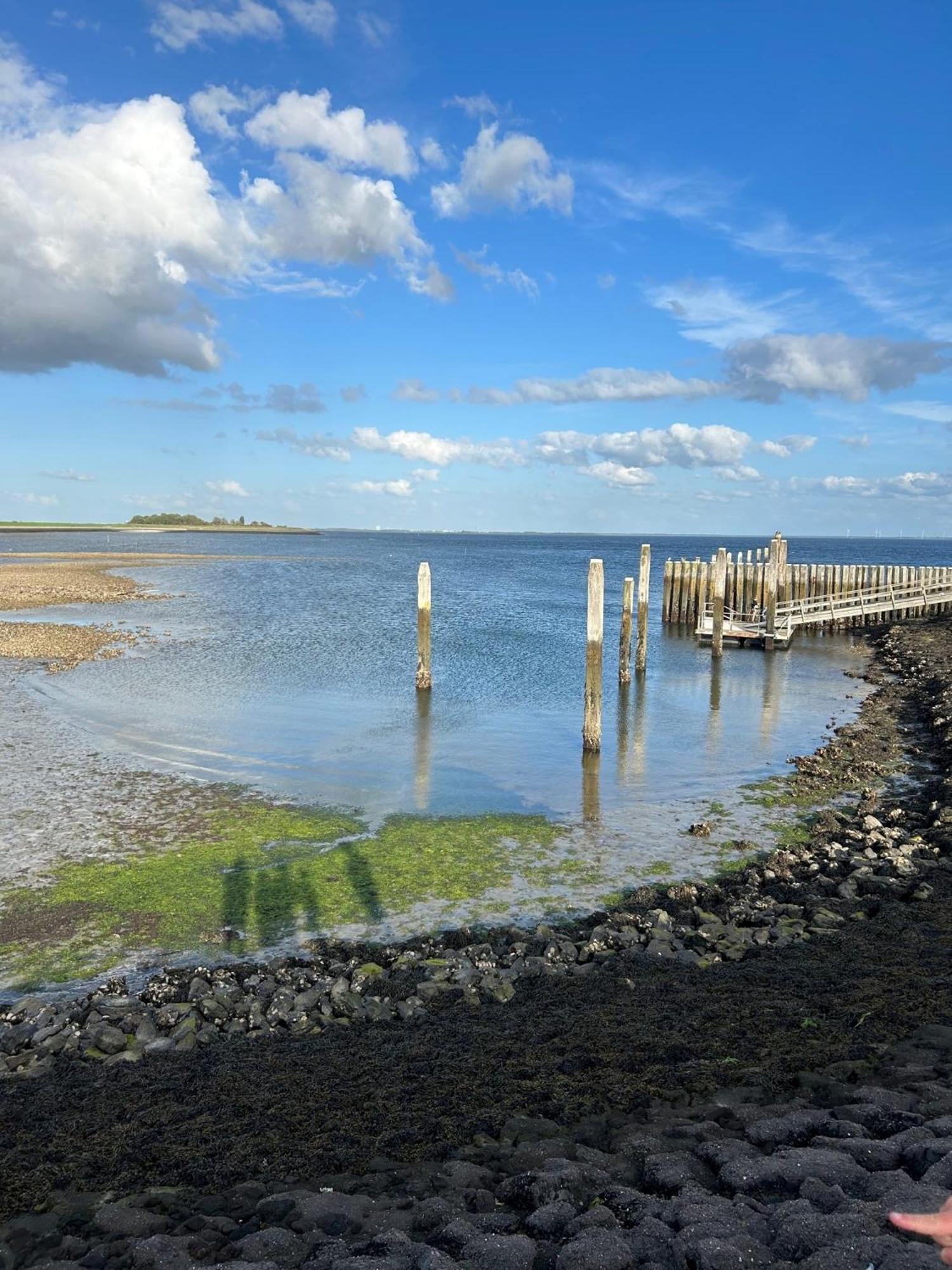 Oosterschelde Lodge Met Veel Privacy En Dicht Bij Het Water Scherpenisse Bagian luar foto