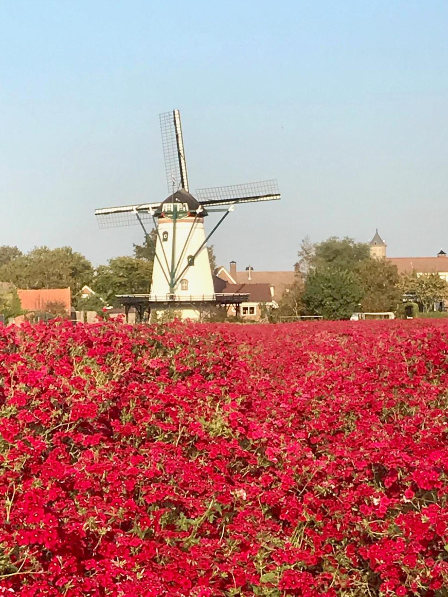 Oosterschelde Lodge Met Veel Privacy En Dicht Bij Het Water Scherpenisse Bagian luar foto