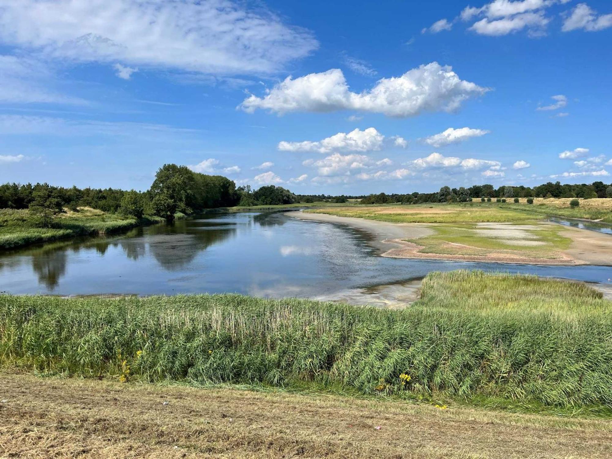 Oosterschelde Lodge Met Veel Privacy En Dicht Bij Het Water Scherpenisse Bagian luar foto